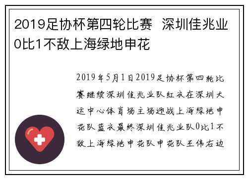 2019足协杯第四轮比赛  深圳佳兆业0比1不敌上海绿地申花